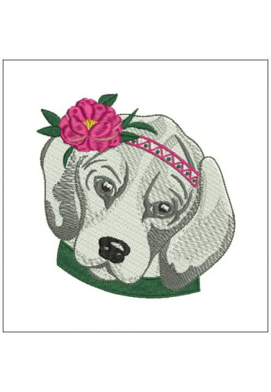 Pet077 - 4 X 4 Boho Dog